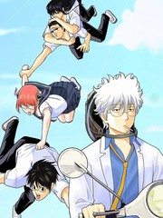 银魂 三年Z班银八老师TOON